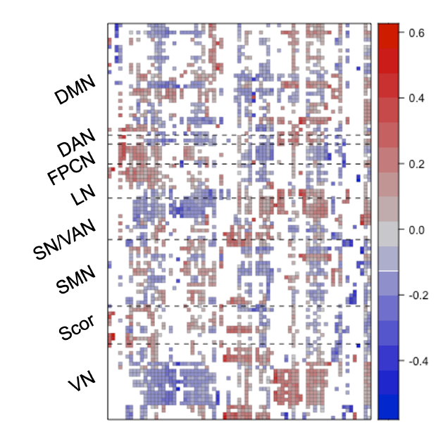 Brain connectivity harmonization
