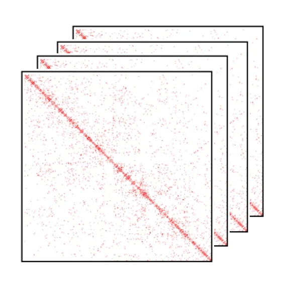 Single-cell Hi-C